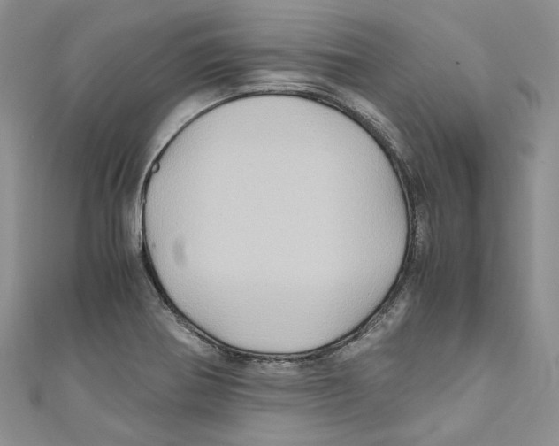X0000110971370200907171701
