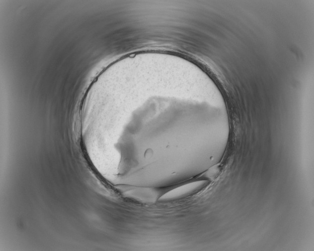 X0000110971371200907171701