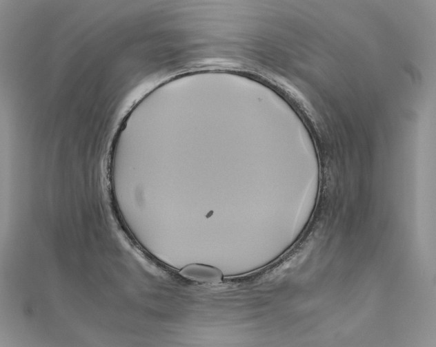 X0000110971373200907171701