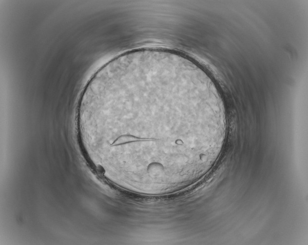 X0000110971375200907171701