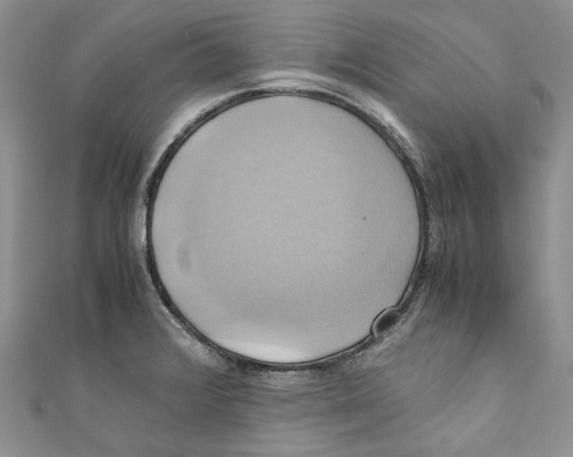 X0000110971376200907171701