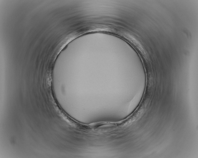 X0000110971377200907171701