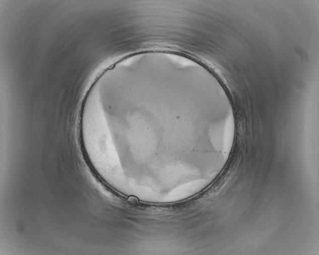 X0000110971379200907171701