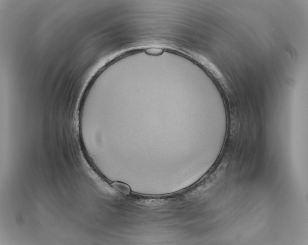 X0000110971380200907171701