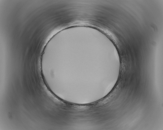 X0000110971382200907171701