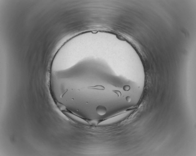 X0000110971383200907171701