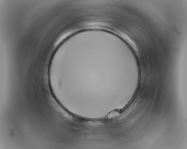 X0000110971384200907171701