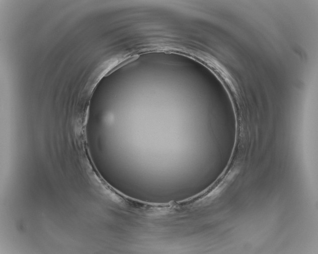X0000110971385200907171701