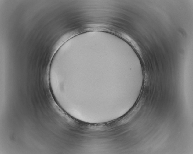X0000110971386200907171701
