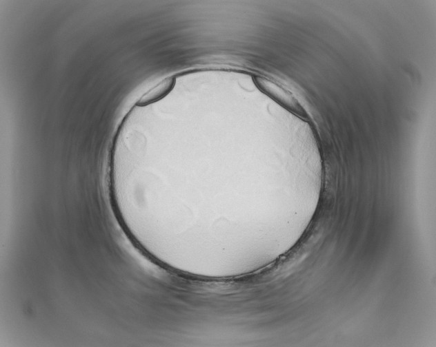 X0000110971387200907171701