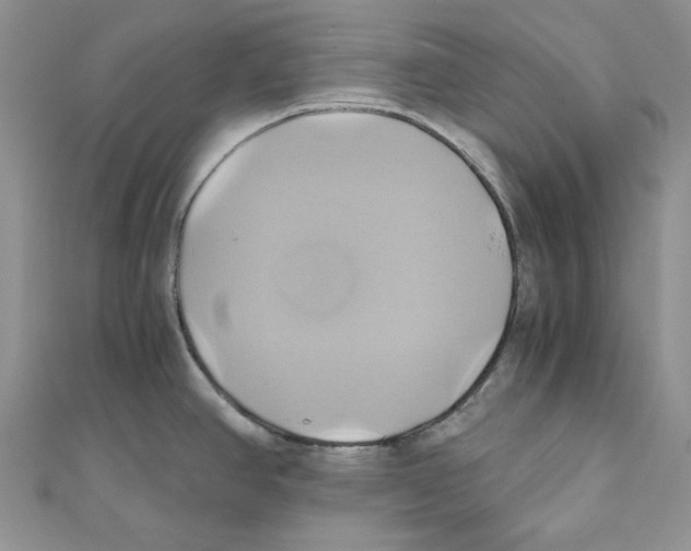 X0000110971390200907171701