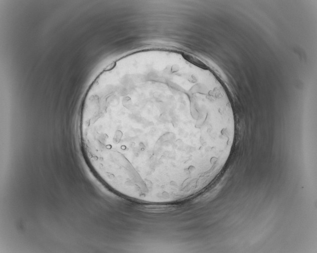 X0000110971391200907171701