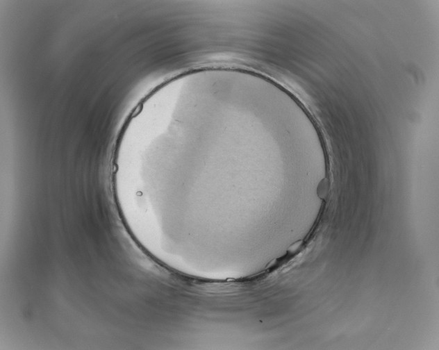 X0000110971392200907171701