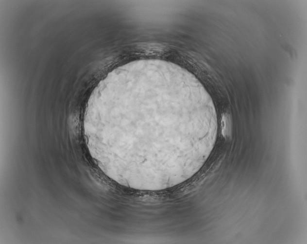 X0000110971395200907171700