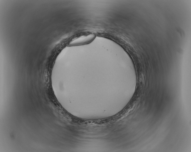 X0000110971398200907171700