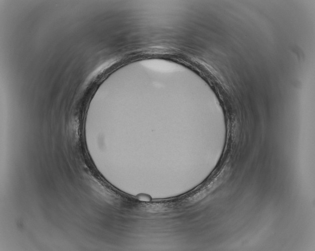 X0000110971402200907171700