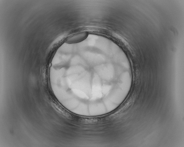 X0000110971403200907171700