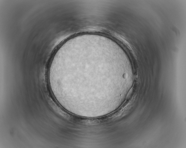 X0000110971404200907171700
