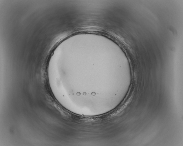 X0000110971405200907171700