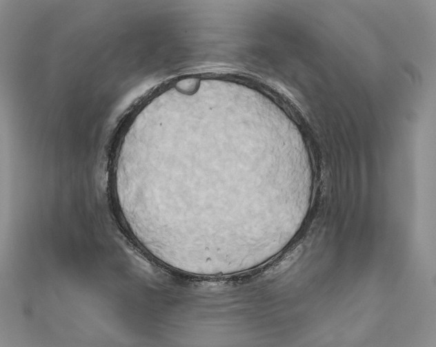 X0000110971406200907171700