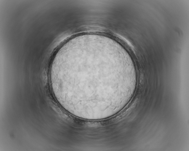 X0000110971407200907171700