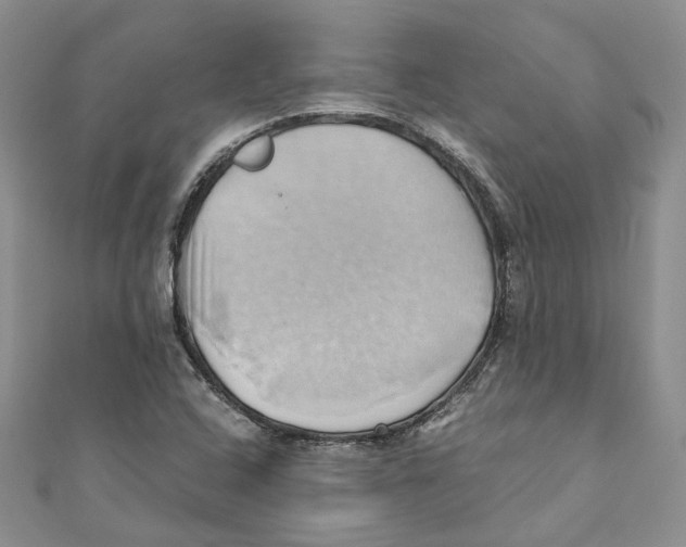 X0000110971408200907171700