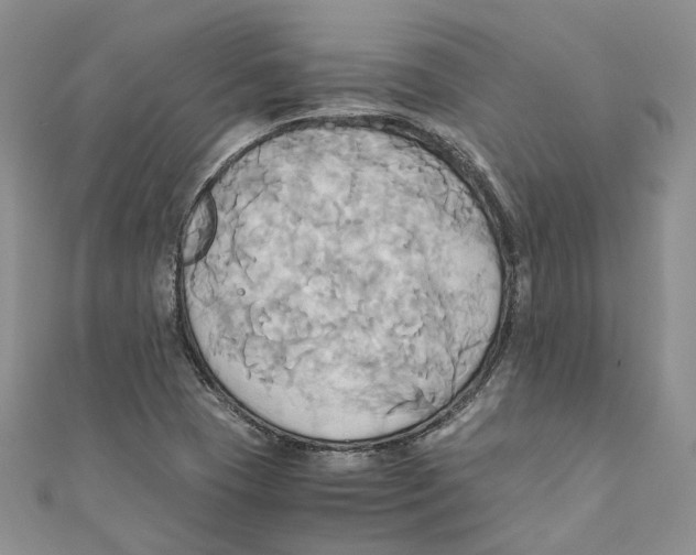 X0000110971409200907171700