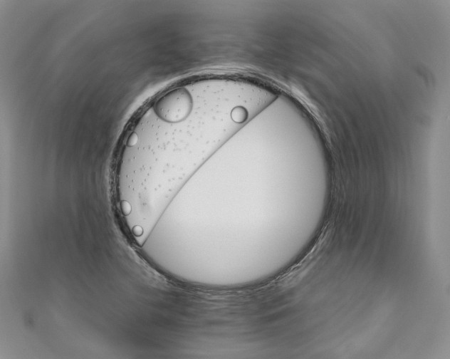 X0000110971412200907171700