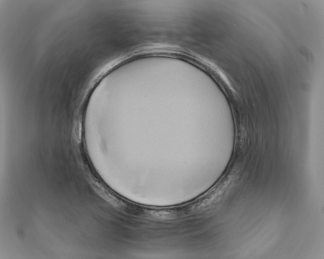 X0000110971413200907171700