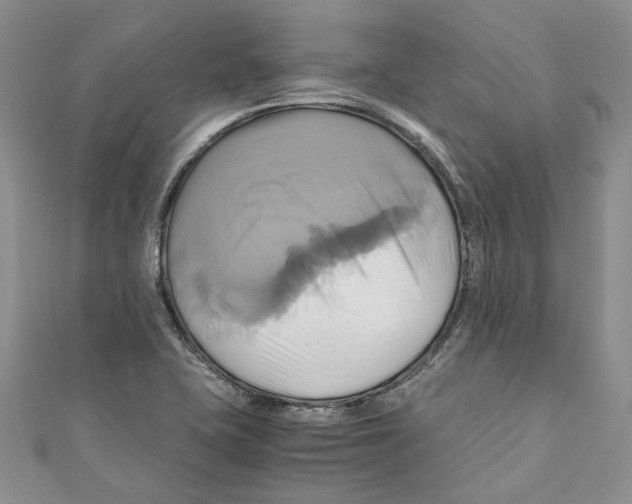 X0000110971415200907171701