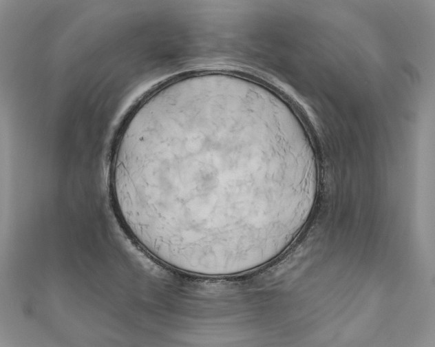 X0000110971416200907171701