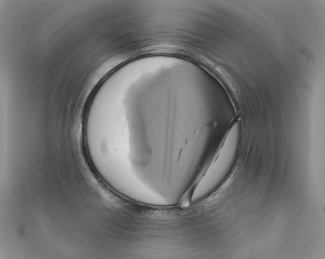 X0000110971418200907171701