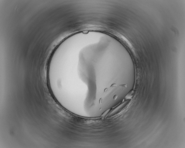 X0000110971419200907171701