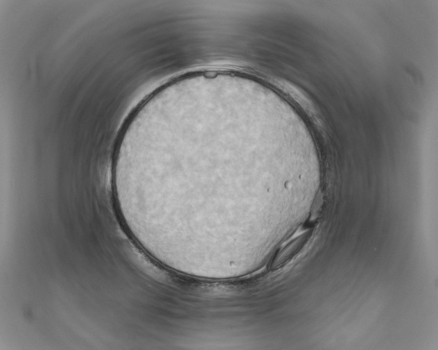 X0000110971420200907171701
