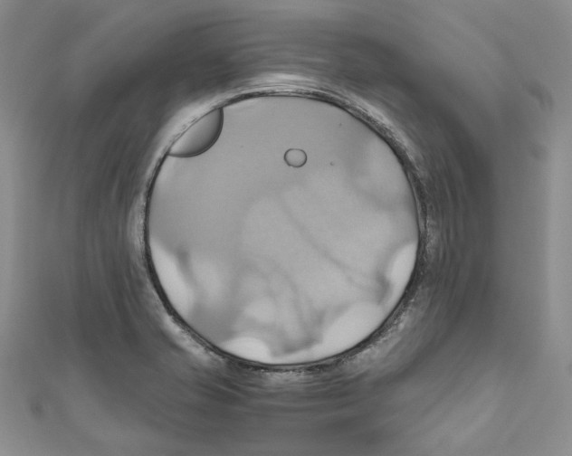 X0000110971421200907171701
