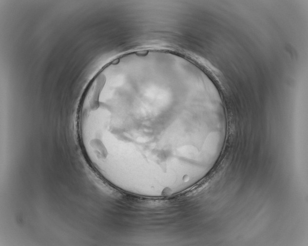 X0000110971423200907171701