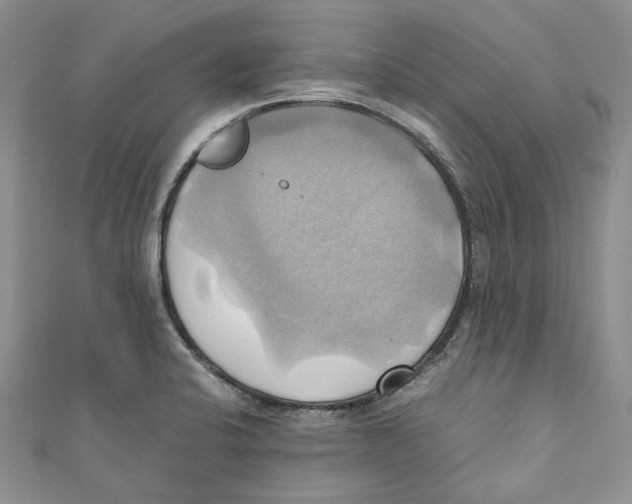 X0000110971424200907171701