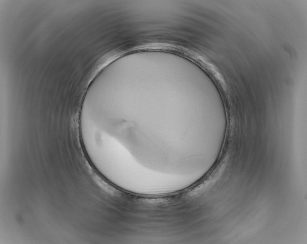 X0000110971425200907171701