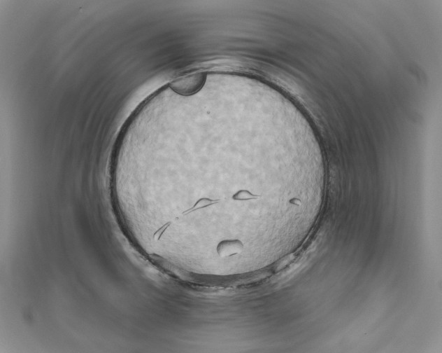 X0000110971426200907171701