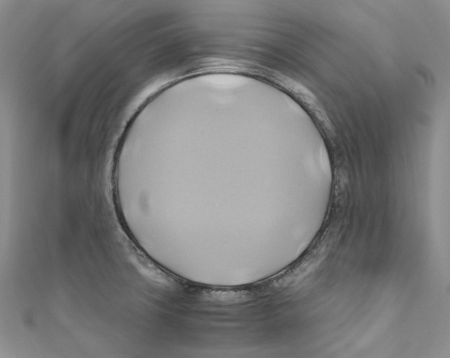 X0000110971427200907171701