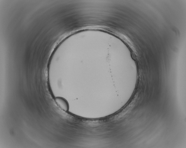 X0000110971428200907171701