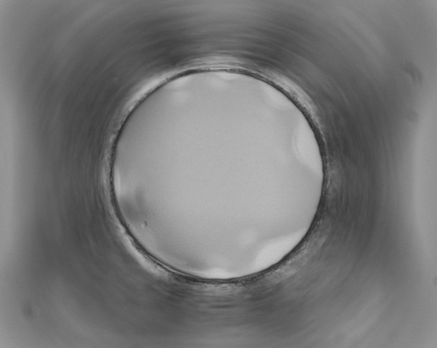 X0000110971429200907171701
