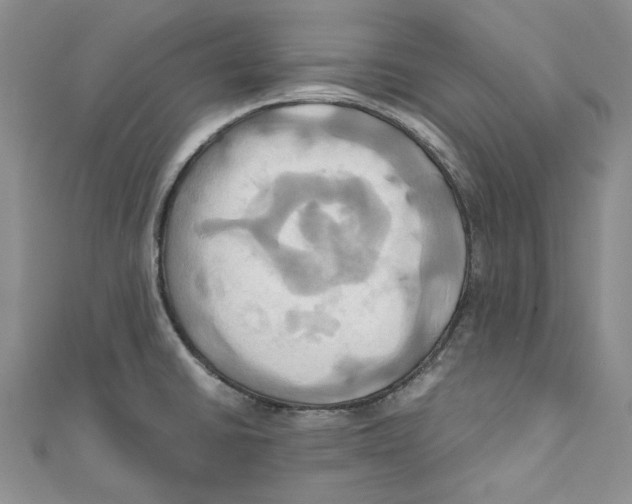 X0000110971430200907171701