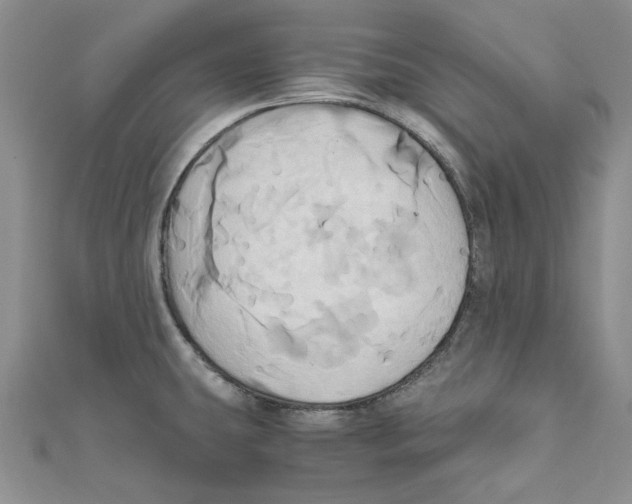 X0000110971431200907171701