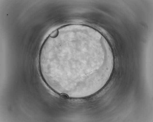 X0000110971432200907171701