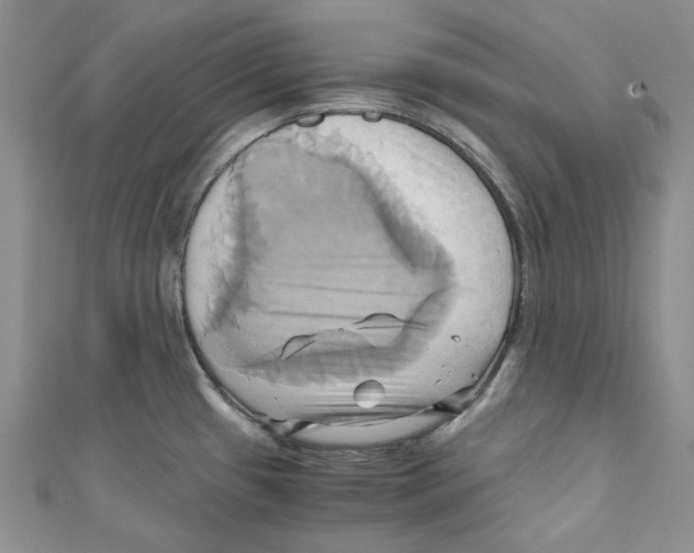 X0000110971433200907171701
