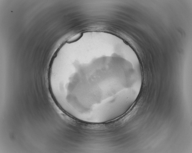 X0000110971434200907171701