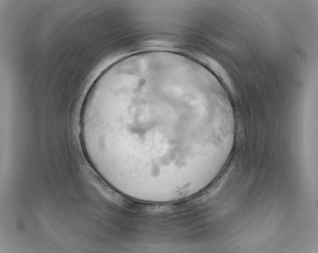 X0000110971435200907171701