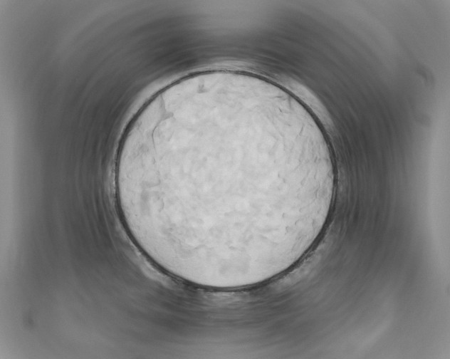 X0000110971436200907171701