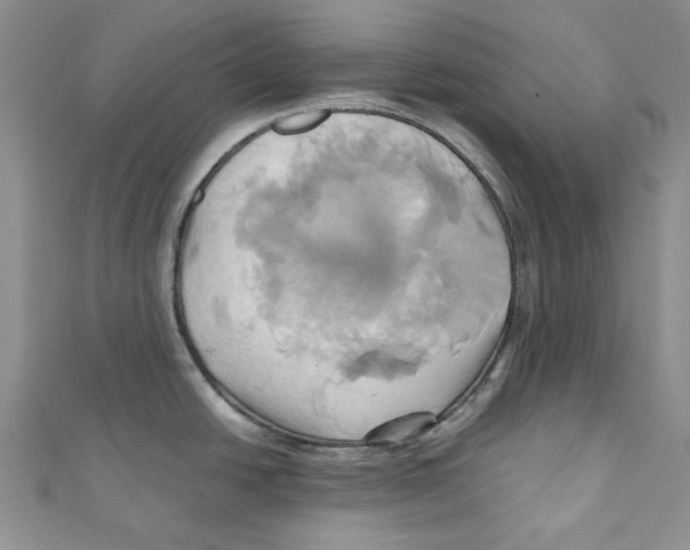 X0000110971438200907171701